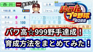 【パワプロ2022】パワフル高校☆999野手育成方法まとめ。立ち回り方を解説してみました。【サクセス：パワフル高校ライバルズ】 [upl. by Oalsecnew]