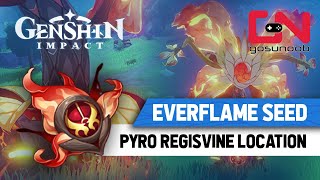 Genshin Impact Pyro Regisvine Location  How to Get Everflame Seed [upl. by Odrareg]