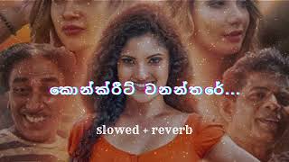 Concrete Wananthare  කොන්ක්‍රීට් වනන්තරේ  SlowedReverb [upl. by Odlonra]