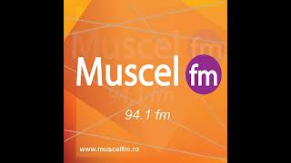 Interviu la MUSCEL FM cu Marius Nicolaescu  vicepreședintele Consiliului Județean Argeș [upl. by Allin796]