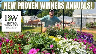 2025 New Annual Introductions From Proven Winners  Bedford Greenhouses🌸😄 [upl. by Ecyal]