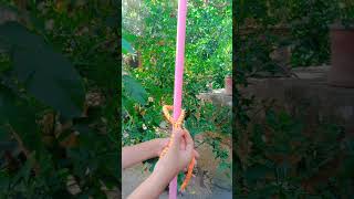 How to Tie a Secure Bowline Knot for Camping amp outdoor Adventure shortsfeed shorts [upl. by Laroc]