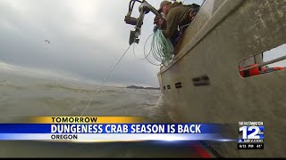 Dungeness Crab season returns [upl. by Alia]