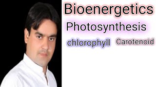 Bioenergetics  Photosynthetic pigments  chlorophyll amp carotenoids [upl. by Toby130]