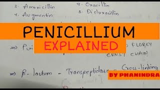 Penicillium  Discovery  Downstreaming Production and Working [upl. by Ateekal]