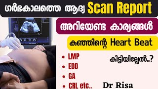 Pregnancy First Scan Report MalayalamPregnancy scan [upl. by Arten951]