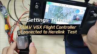 Test of CUAV V6X Flight Controller Connection with Herelink [upl. by Plantagenet]