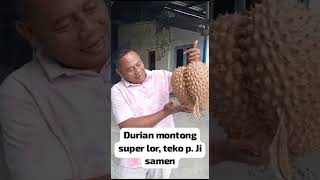 dapat durian super Lerankulon palang tuban [upl. by Suinotna]