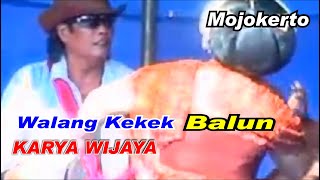 Walang Kekek  Balun  Karya Wijaya Mojokerto [upl. by Leehar469]