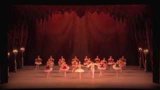 Royal Opera House Muscat Highlights from the Mariinsky Ballet [upl. by Eulaliah300]