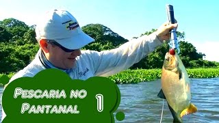 Pescaria no Pantanal  bloco 1 [upl. by Sakovich]