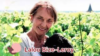 稀世珍釀P2  全球最頂級紅酒🍷，來自勃艮第傳奇Lalou Bize Leroy 女士！行家一生追求，Domaine Leroy究竟有何獨特魅力？ [upl. by Learrsi340]