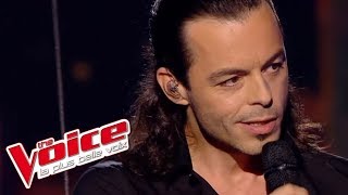 Calogero – En apesanteur  Nuno Resende  The Voice France 2013  Prime 4 [upl. by Millford]