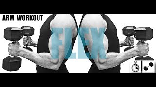 20 MINUTE DUMBBELL ARM WORKOUT [upl. by Gagne790]