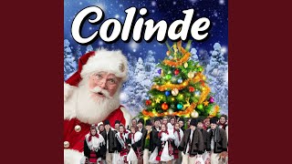 Colaj Colinde Cele Mai Frumoase Colinde Din Ardeal [upl. by Einhoj]