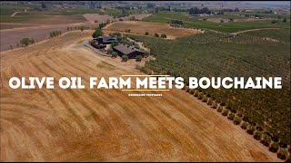 Olive Oil Farm Meets Bouchaine [upl. by Enelegna]