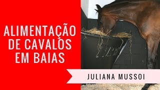 Alimentação de Cavalos em Baias ou Cocheiras [upl. by Amann825]