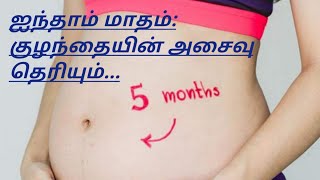 கர்ப்ப மாதம் 5  5th month pregnancy development in tamil  5 மாத கர்ப்பம்  karpam matham 5 [upl. by Voltmer324]