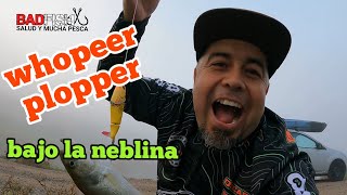 whopper plopper bajo la neblina [upl. by Ahsias]