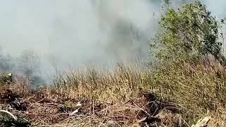 Incendio de pastizales en el Club Náutico San Pedro [upl. by Whitehouse]