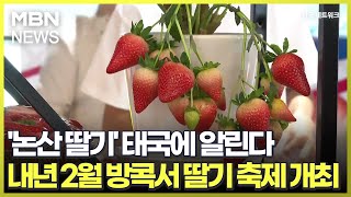 논산 딸기 태국에 알린다…내년 2월 방콕서 딸기 축제 개최 전국네트워크 [upl. by Delamare]