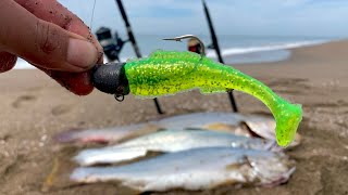 COMO pescar de ORILLA  Tips de pesca  pescando CORVINA [upl. by Aserehc391]