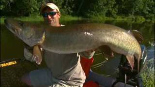 Top 5 Small River Musky Baits [upl. by Nahtanoy539]