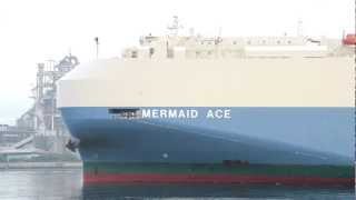 MERMAID ACE [upl. by Esau]