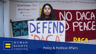 LGBTQ Dreamer Erika Castro on importance of DACA [upl. by Diet]