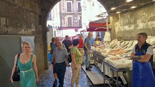 Fish Market and Amenano Fountain in Catania [upl. by Yentroc]