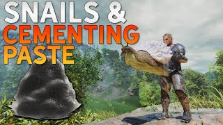 SNAILS and CEMENTING PASTE FACTORY in ARK Survival Ascended  COOP  EP15 [upl. by Gnohc]