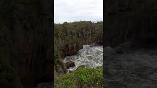 Punakaiki blowhole newzealandhighlights [upl. by Reidid]