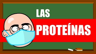 PROTEÍNAS Y AMINOÁCIDOS 💪💪💪 UN MES DE CLASES EN 5 MINUTOS [upl. by Eessej]