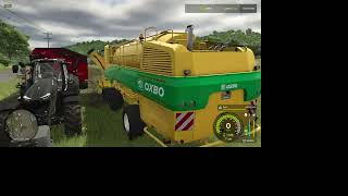 FS25 Oogsten van Peas Erwt [upl. by Anirdnajela]