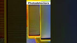 Photodetectors [upl. by Sharona]