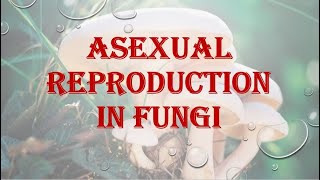 PlantBiodiversityReproduction in Fungi Asexual reproduction [upl. by Hahnert449]