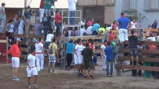 ENCIERRO DESDE LA PLAZA DE TOROS DE RIBAFORADA NAVARRA 25 08 2013 [upl. by Harmony945]