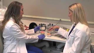 Dr Kathryn Ryan Talks About Why You Should Choose Parkway Prosthodontics [upl. by Kcirdef39]