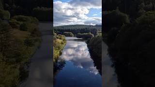 Exploring Kielder Forest [upl. by Carlen]