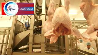 PREZENTACJA NASZEJ LINII UBOJU W ZAKŁADZIE PRZETWÓRSTWA DROBIU BIAŁORUŚ POULTRY PROCESSING PLANT [upl. by Eversole]