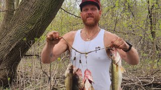 tittabawassee river walleye fishing [upl. by Vareck]