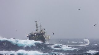 😳 🌊⚓️DRAMATIC Film of Fishing Vessel in Heavy Sea storm trawler fishing [upl. by Akoyn]