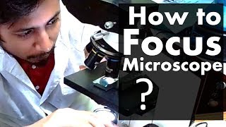 How to focus a microscope  The best microscope focusing procedure steps [upl. by Walburga]