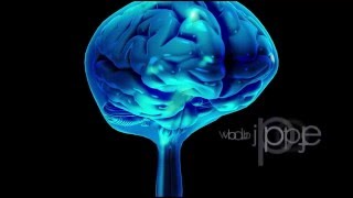 Neuroanatomy The Cerebrospinal Fluid CSF [upl. by Hairas]