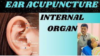 EAR ACUPUNCTURE INTERNAL ORGAN [upl. by Nosreme772]