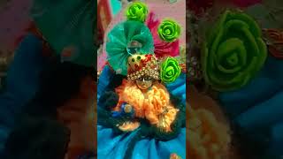 राधे राधे 🙏♥️ viralvideo kanha shyam merekanhaiya laddugopal shortsviral shreekrishna [upl. by Omora904]