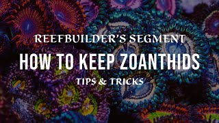 Zoanthids  How to Keep and Growing using Tips and Tricks Reefbuilders Video Segment [upl. by Breanne501]