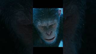 War for the Planet of the Apes Caesar strong warrior is leaving the world [upl. by Htennaj]