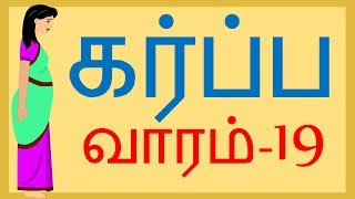 Pregnancy  Tamil  Week 19  வாரம் 19 [upl. by Steffen]