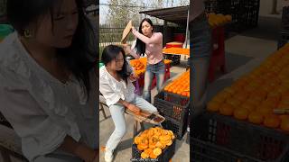 Amazing Persimmon Fruit Cutting  Persimmon Fruit amp Rural Farmer Activites shorts fruit ytshorts [upl. by Ahselyt433]